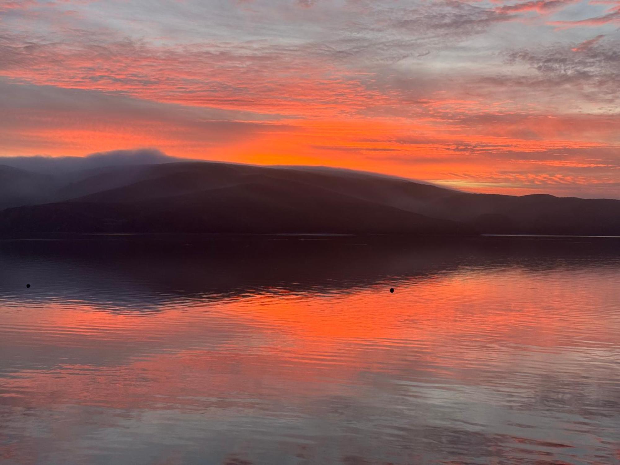 Carriage House Waterfront On Tomales Bay With Dock Hotel Marshall ภายนอก รูปภาพ